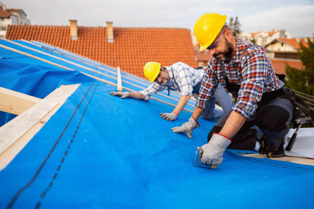 Best Local Roofing Companies  in Blue Rapids, KS